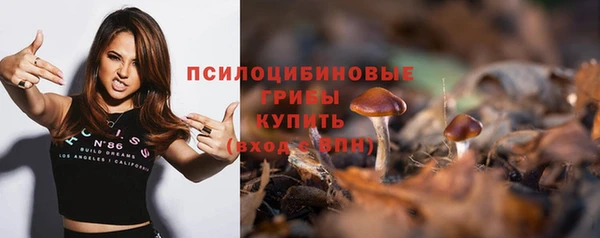 apvp Алексин