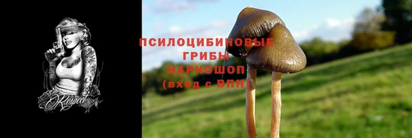 apvp Алексин