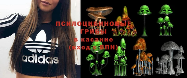 бошки Алзамай